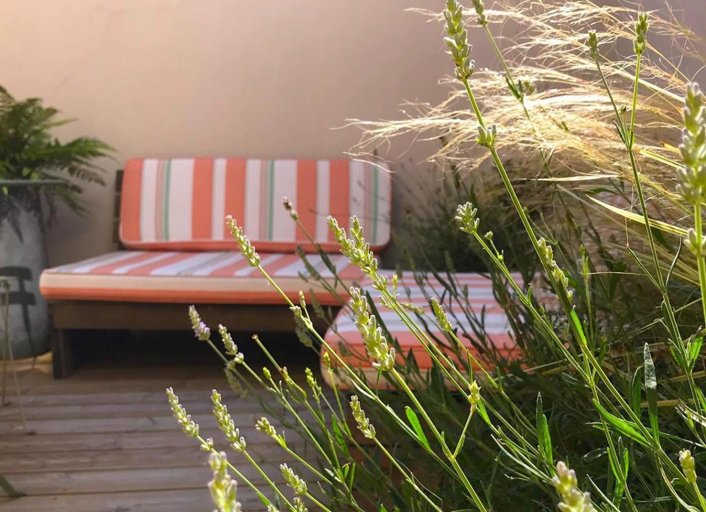 Ty_Yaouen Maison De Vacances Carantec Dış mekan fotoğraf